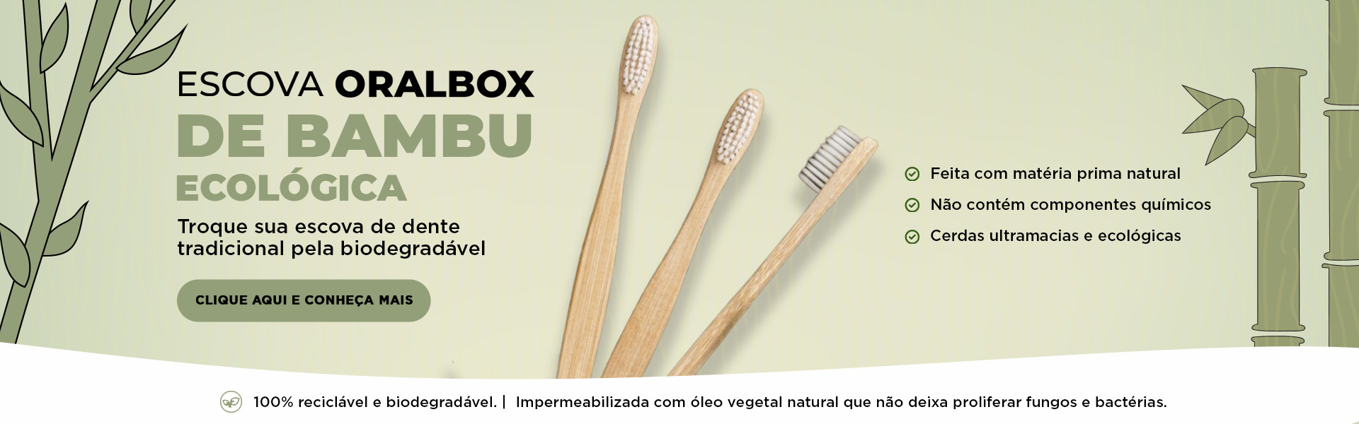ecologicas